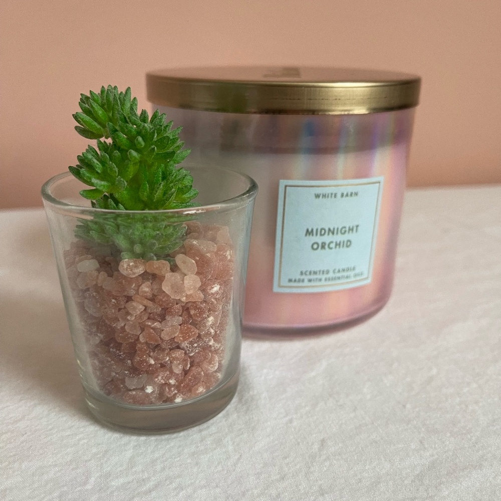 White Barn 3-Wick Candle & Artificial Succulent